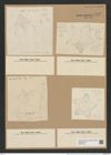 Amphipentas antillarum (Cleve) DeToni (de-Toni-Nr.: Genus 138, Species 3674) Zeichnungen Sammlung Grunow Nr. 7159 (NHMW-BOT-W0376132)